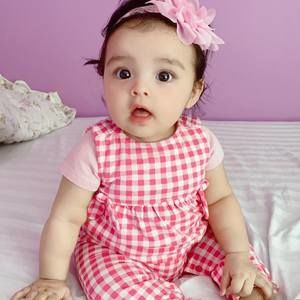 Meet your Posher, Alfredo